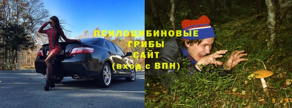 Альфа ПВП Белокуриха