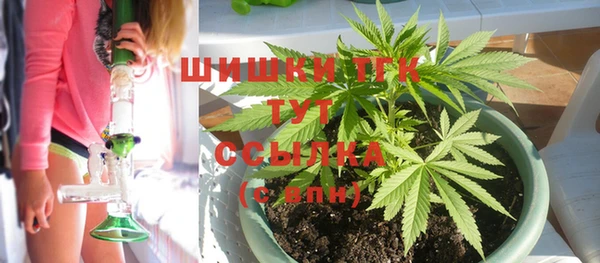 Альфа ПВП Белокуриха
