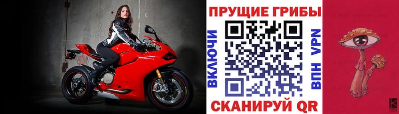 как найти закладки Ефремов darknet формула Галлюциногенные грибы MAGIC MUSHROOMS